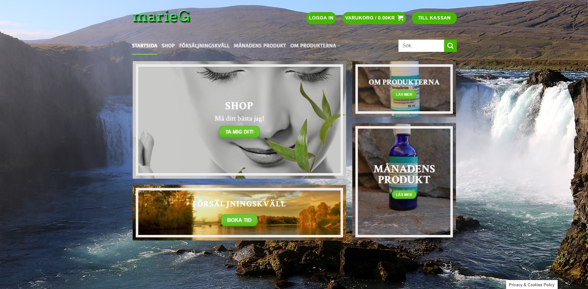 marieG AB Website Preview